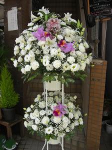 ブログ初挑戦です。|「田中花園」　（東京都三鷹市の花屋）のブログ
